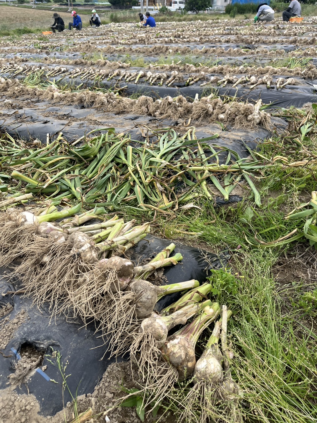 瀬口綜合設備 株式会社｜水道屋ですがリフォームやります｜海津市を中心に岐阜・愛知・三重まで対応