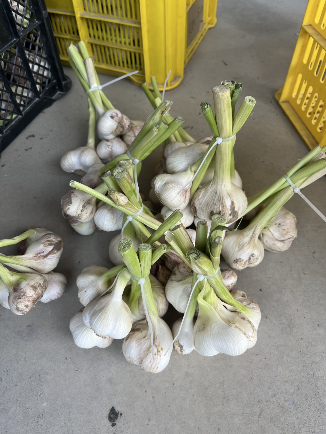 瀬口綜合設備 株式会社｜水道屋ですがリフォームやります｜海津市を中心に岐阜・愛知・三重まで対応